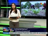 Inició en Venezuela registro único para productores agrícolas