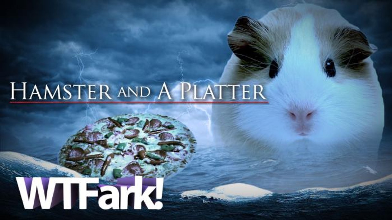 HAMSTER AND A PLATTER: Pizza Hut Australia Offers One Free Small Pet With 10 Large Pizzas.