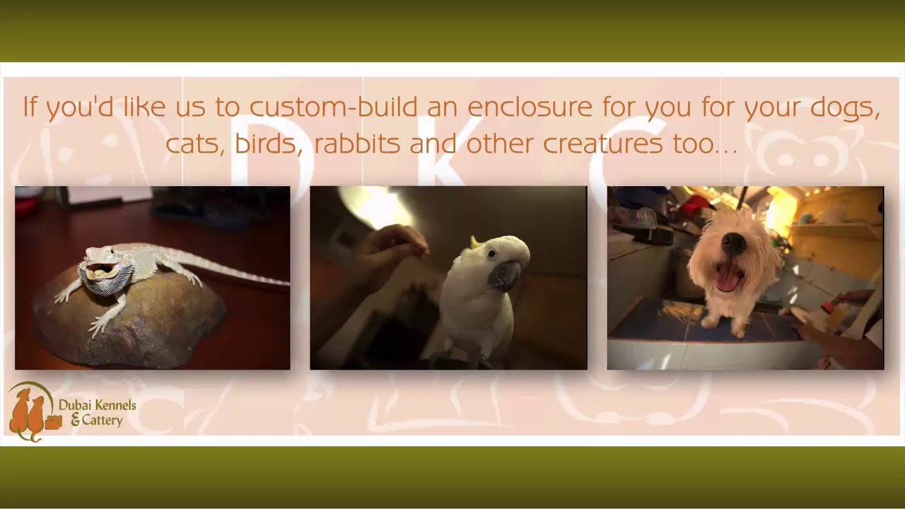 Dubai Kennels & Cattery Share Some Excellent Pet Care Tips