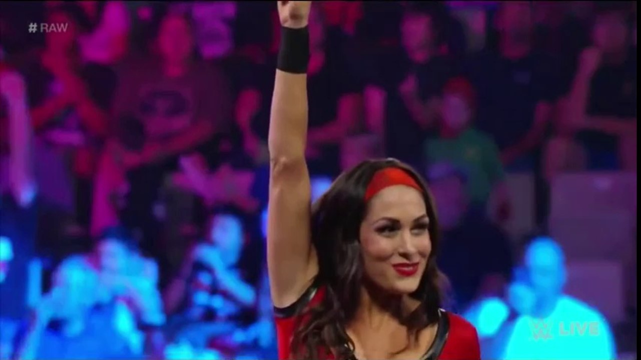 Paige And Nikki Bella Vs Brie Bella And AJ Lee