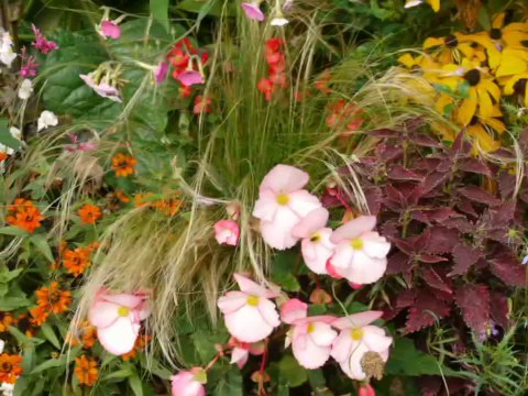 jardin des plantes de coutances