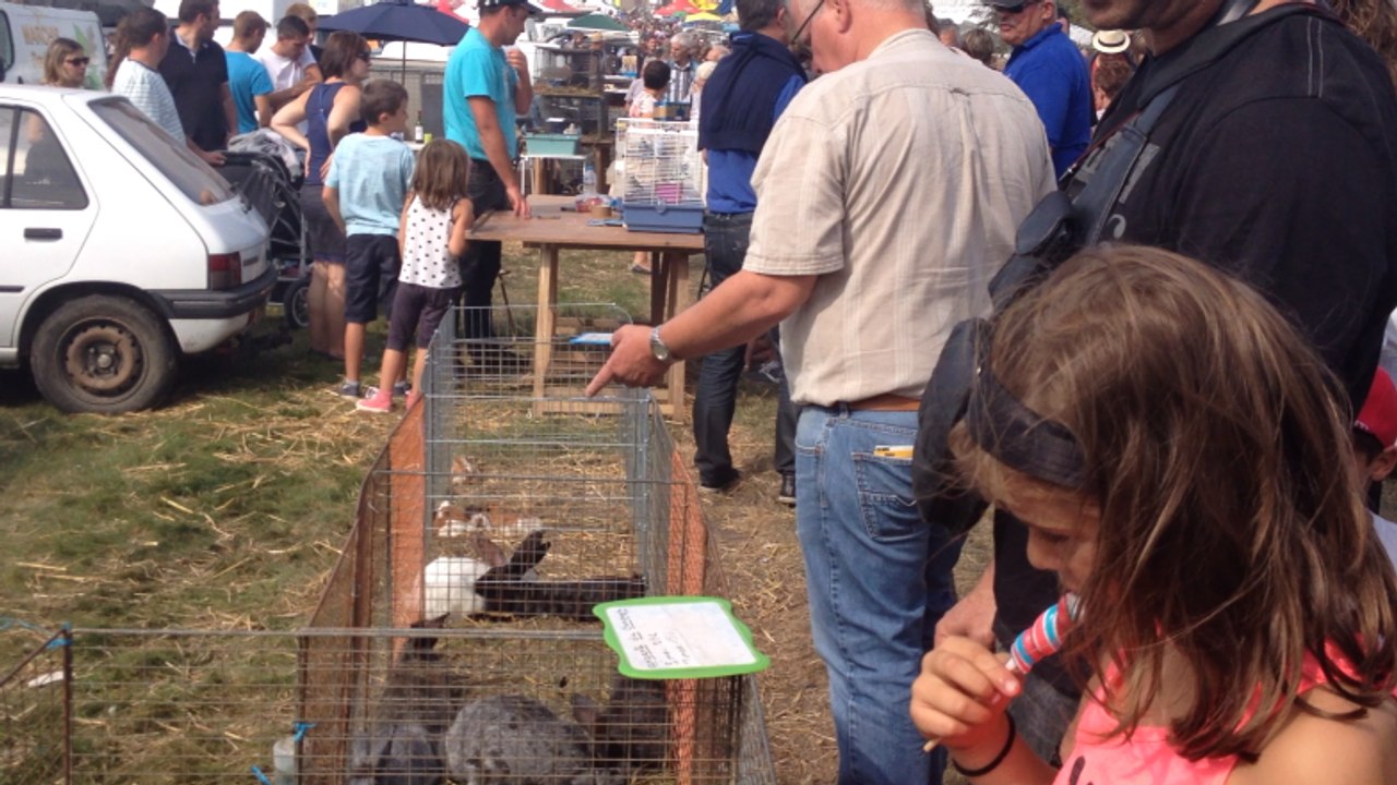 Foire de Lessay