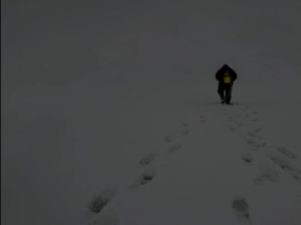 Karlı Kayın Ormanında-Bir Nazım Hikmet Şiiri