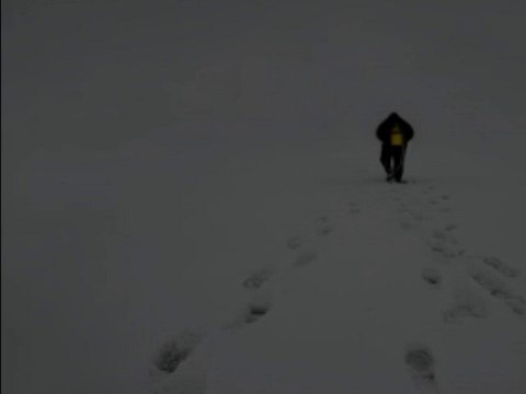 Karlı Kayın Ormanında-Bir Nazım Hikmet Şiiri