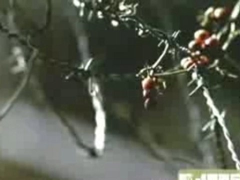 Lil scrappy - oh yeah