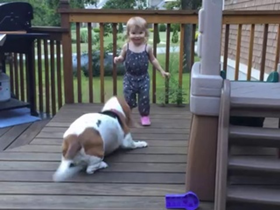 Happy Dog