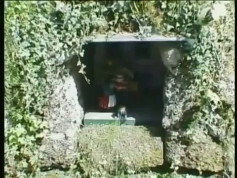 Salzburg - Austria Travel Guide, Tourism and Vacation-fortourismandtravel