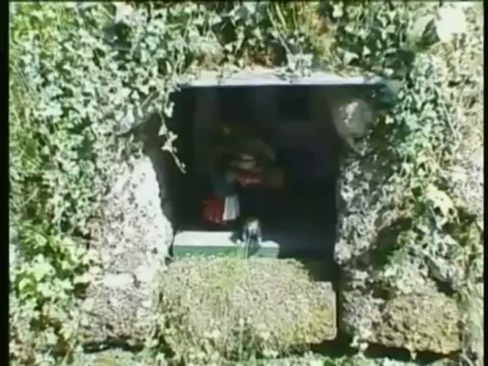 Salzburg - Austria Travel Guide, Tourism and Vacation-fortourismandtravel