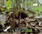 The Most Extreme (Season 5) 13th September 2014 Video Watch Online pt2