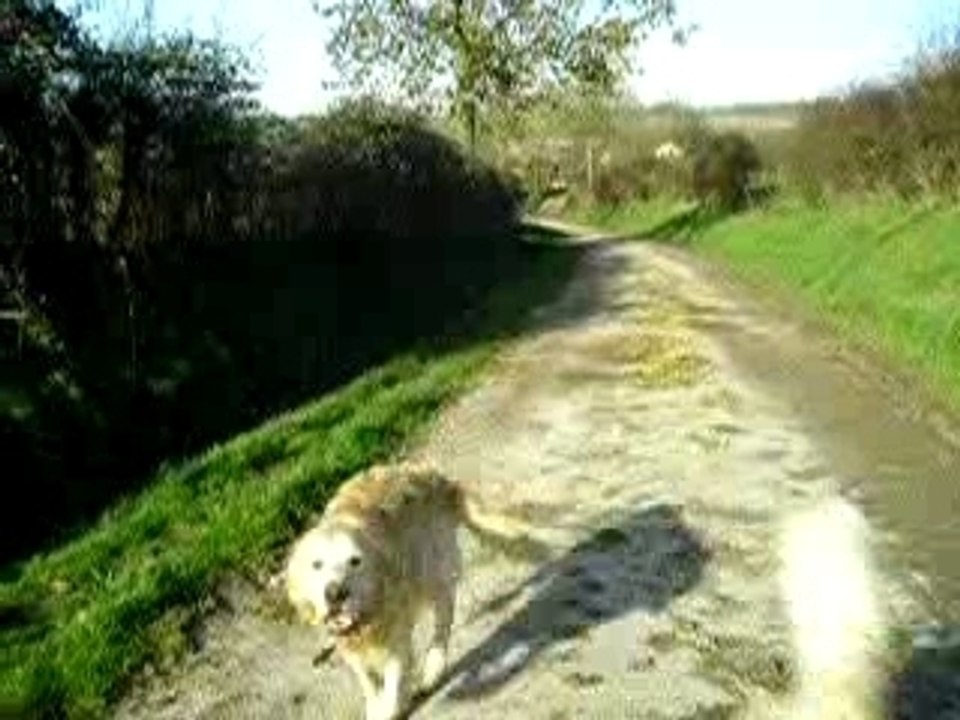 la course