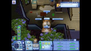 Let's Play les Sims Animaux et Compagnie : De l'amour dans l'air