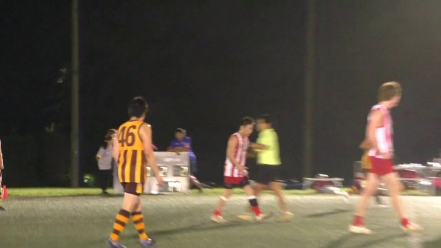 イースタン ホークス　対　東京ゴアナーズ [Q2] EASTERN HAWKS vs TOKYO GOANNAS - 2014 AFL JAPAN TOP LEAGUE