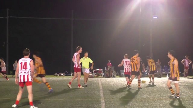 イースタン ホークス　対　東京ゴアナーズ [Q3] EASTERN HAWKS vs TOKYO GOANNAS - 2014 AFL JAPAN TOP LEAGUE