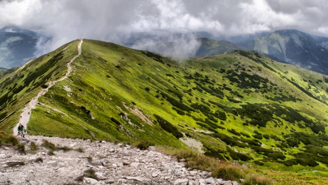 Grześ - Rakoń - Wołowiec