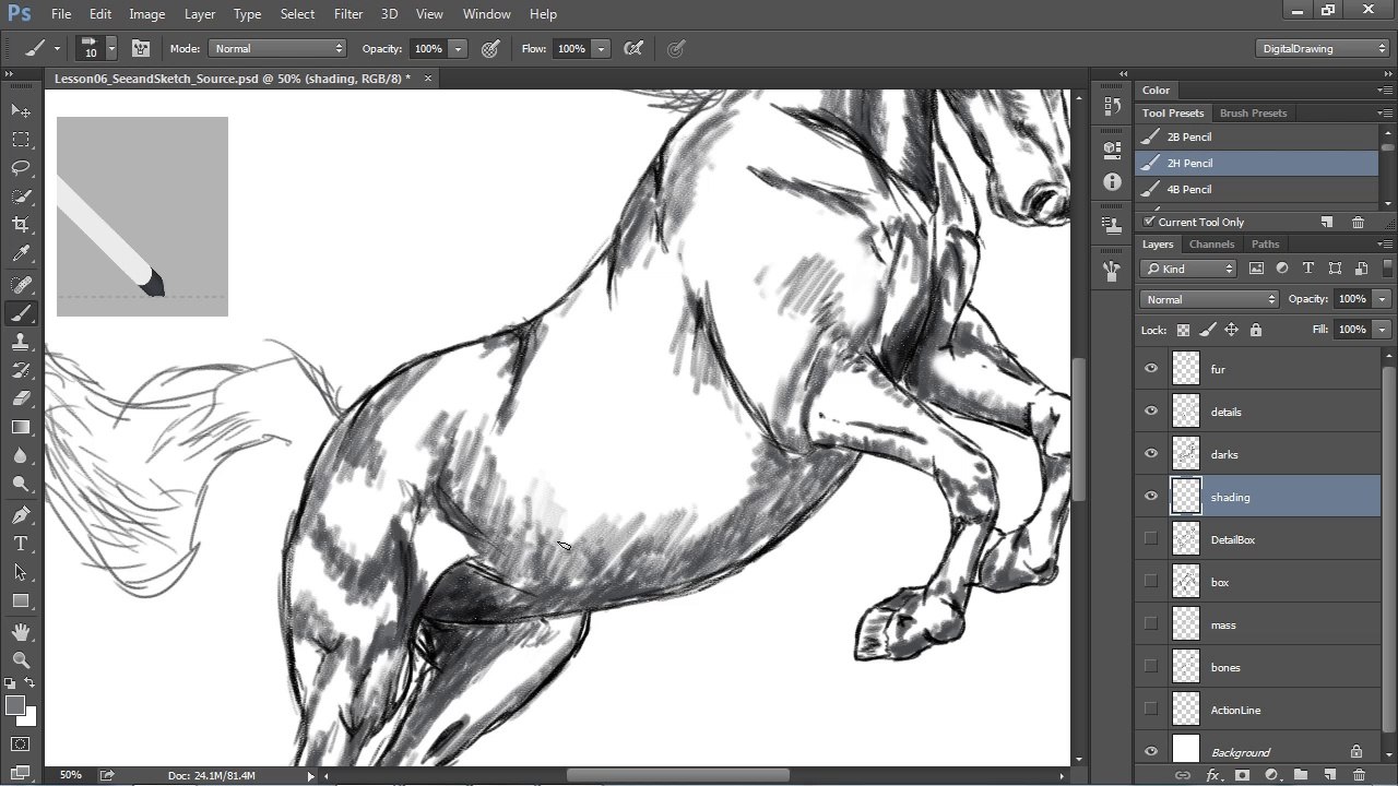 Digital Drawing 101 Drawing Animals - 3.2. Add Mass and Weight to Your Drawing