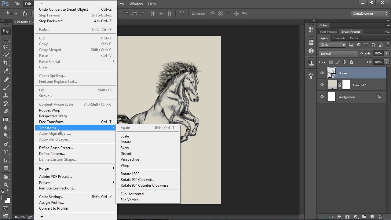Digital Drawing 101 Drawing Animals - 3.3. How to Draw Hair, Highlights and Effects