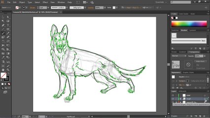 Digital Drawing 101 Drawing Animals - 4.2. Create a Vector Portrait of a Dog