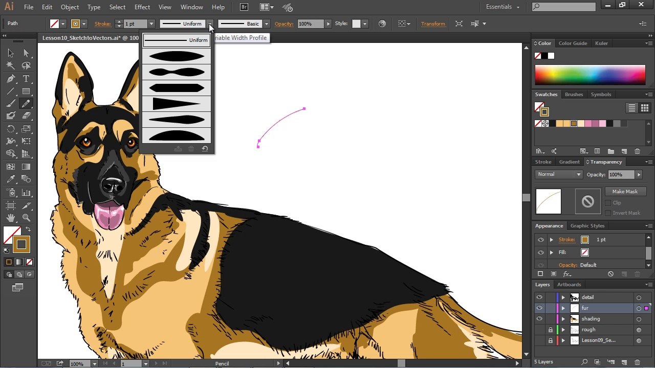 Digital Drawing 101 Drawing Animals - 4.3. Add Clean Lines and Color to Your Illustration