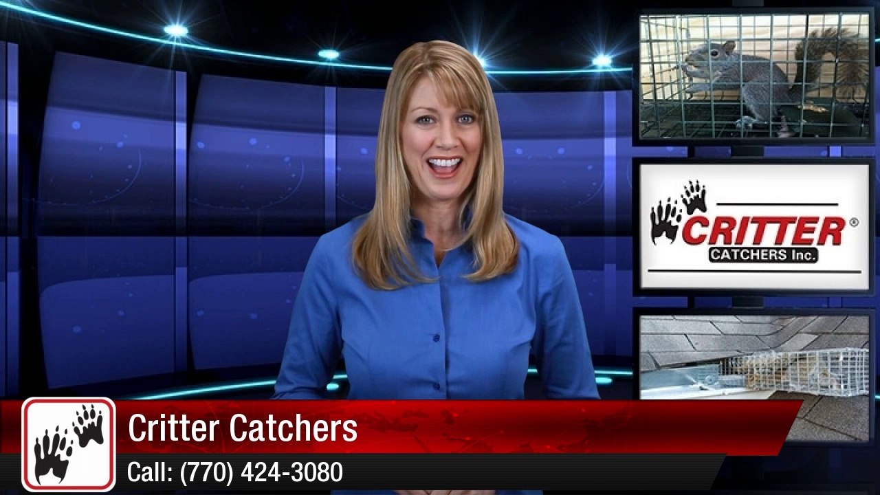 Acworth Squirrel Removal Experts - Critter Catchers - Animal Removal Review by Joan S.