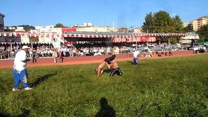 ALAPLI GÜREŞLERİ 2014