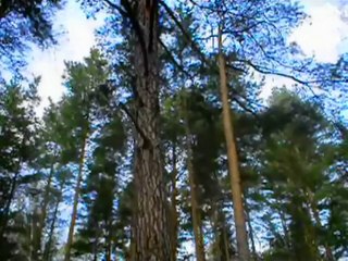 Сантехно Группа Время Срать - ЗаПлАтИ !!!