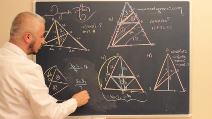 Üçgende Alan 5-ozelogrenci.com