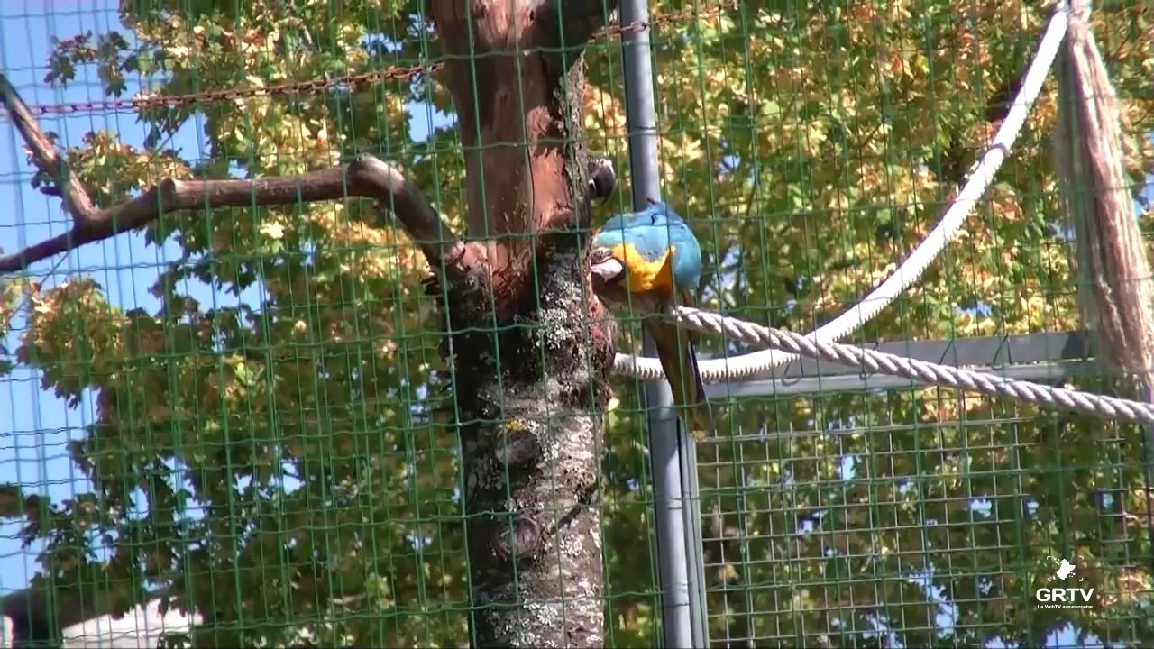 parc animalier de Pradinas