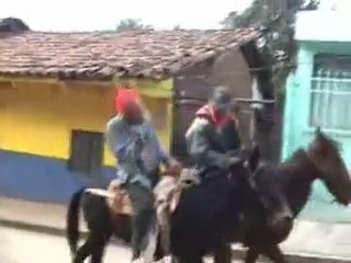 Drunk guy and his horse