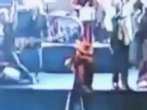 Funny animal videos pranks funny pictures funny compilation fat people falling