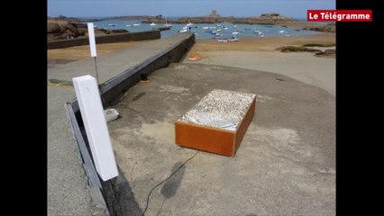 Lannion. Land'art : l'Estran fait son festival