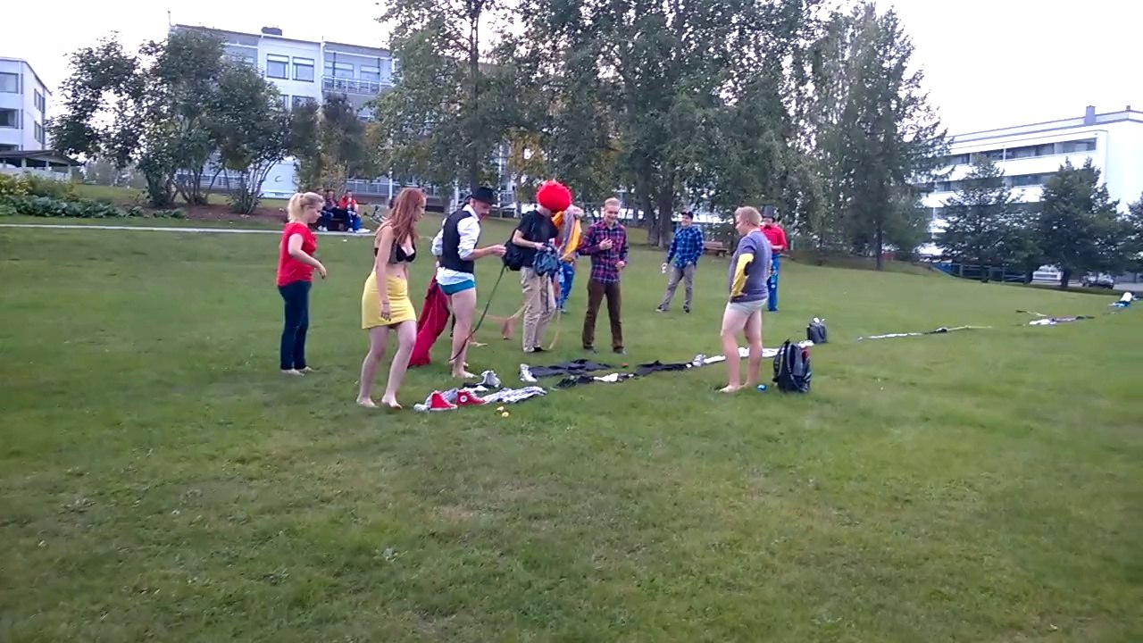 Fuksiaiset 2014.