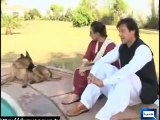 Imran Khan's Dog Sheru