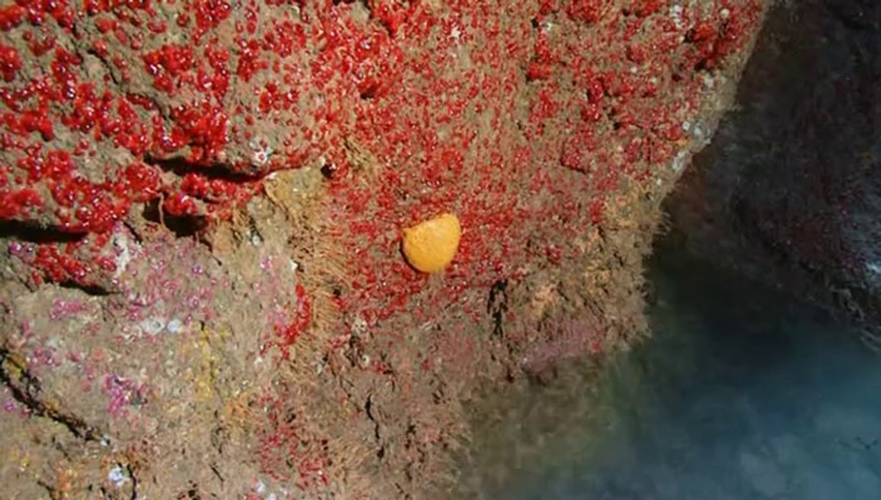 BBC Coast S03E08 - Channel Islands to Dover