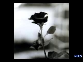 Yaar Pirivai Yaar Thadukkak Koodum - Yaal / Nallur B U.Bala - 87280 Limoges - France