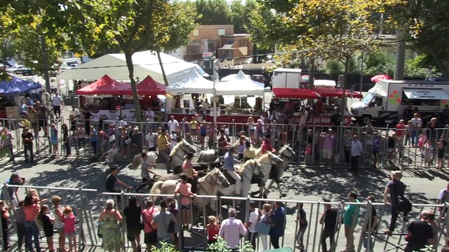 L'abrivado de la Feria du riz à Arles