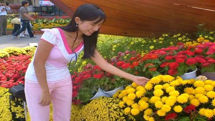 Câu Chuyện Đầu Năm - Hoàng Oanh (PP)