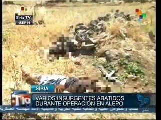 Ejército sirio abate a insurgentes, no se sabe a qué grupo pertenecían