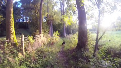 Mit Liz durch den Wald