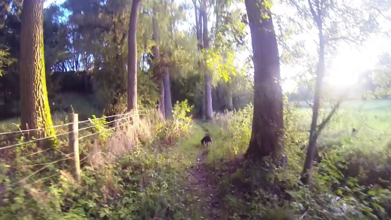 Mit Liz durch den Wald