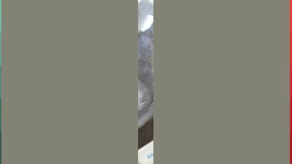 Select a Right Humidifier (Split System Heat Pump in Flint).