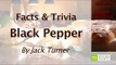 Pepper - Facts & Trivia By Jack Turner || Passion Of The Greeks