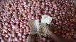 Rising Food Prices: Is The Government In Control? Join Devinder Sharma, Ayaz Memon & Govindraj Et...
