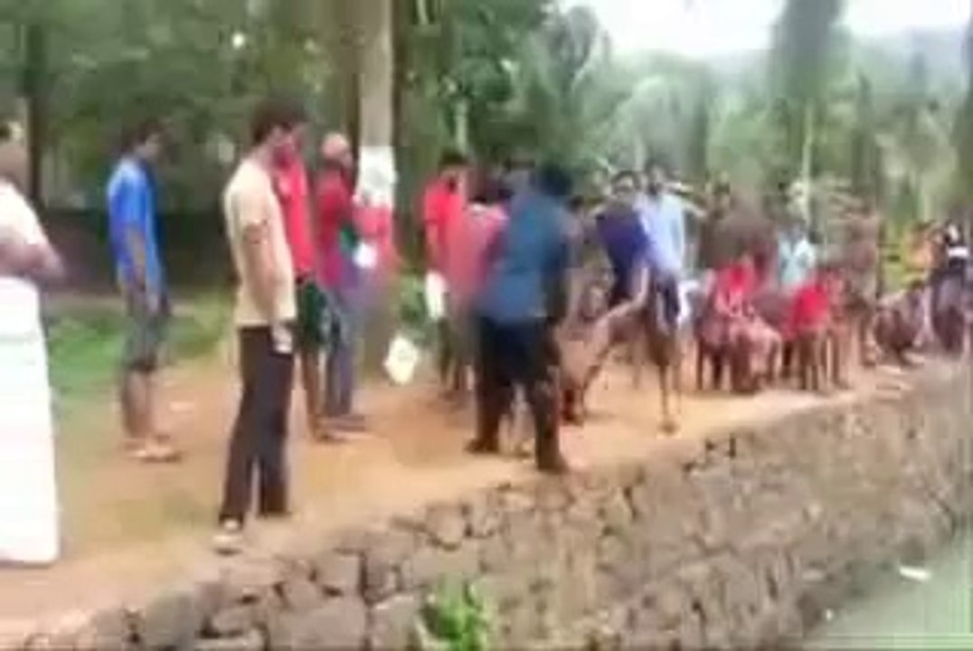 Funny Video