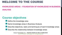 Business Analysis Knowledge Areas by SAP XPERT