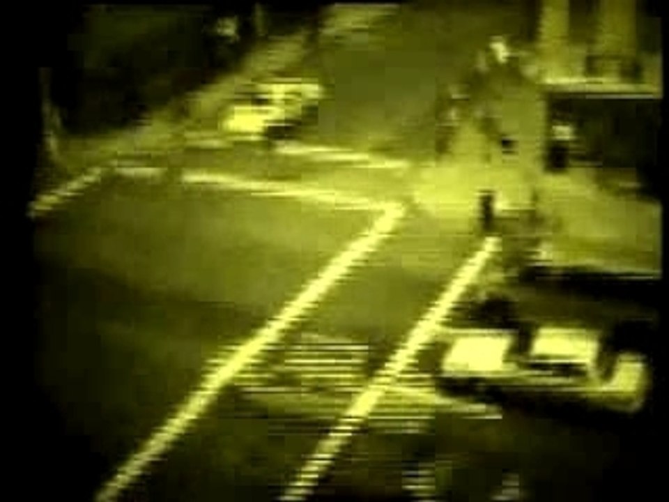 Zenzile - Smell the roses