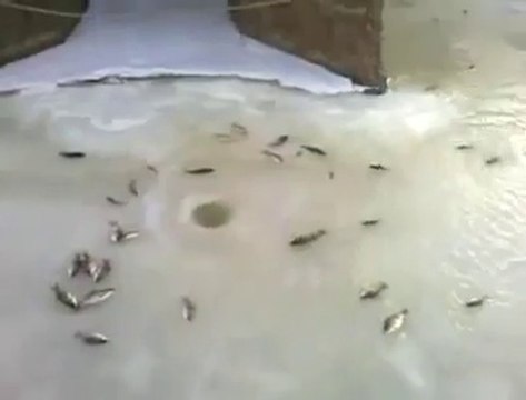 Buz Tutmuş Gölde Balık Tutma Yöntemi