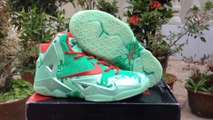 Nike Lebron James 11 Light Green Red Basketball Shoes Online Review www.kicksgrid1.ru