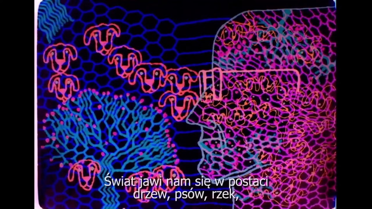 Czy Noam Chomsky jest wysoki czy szczęśliwy 2014 trailer zwiastun HD napisy pl