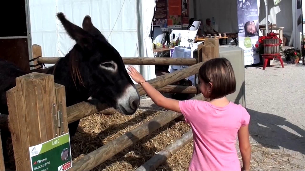 EXPO ANIMAUX