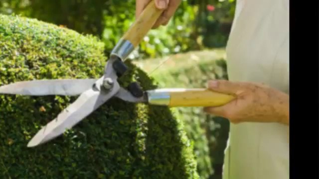 Broestler BrushCutting, LLC (518) 692-9074